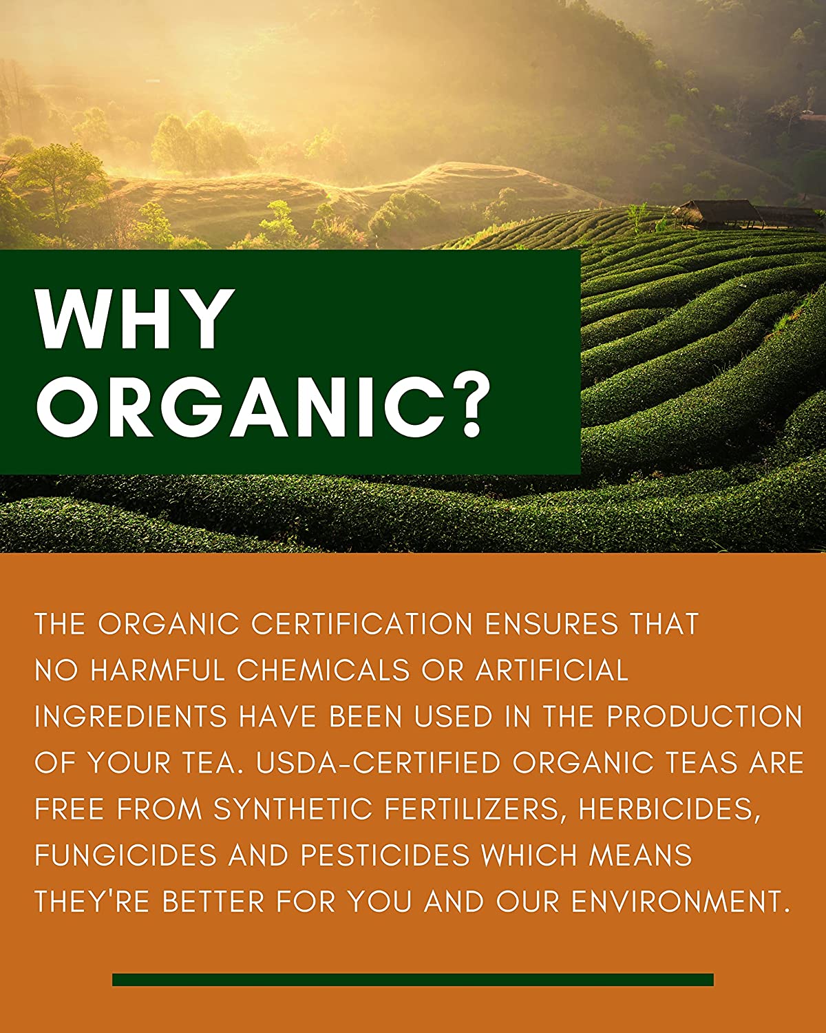 Turmeric Ginger Tulsi Chai Loose Tea