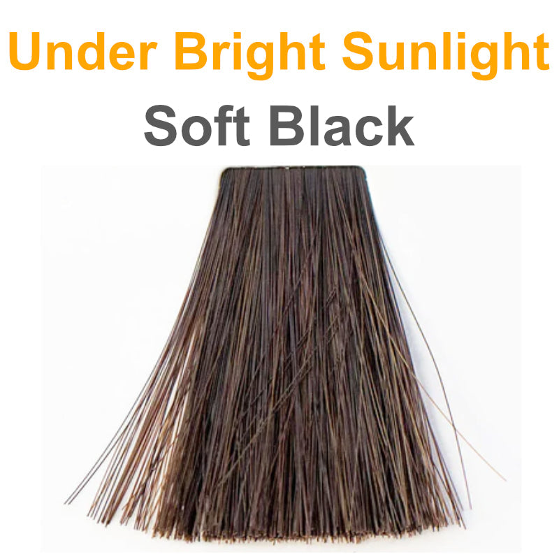 Soft Black - Organic Hair Color